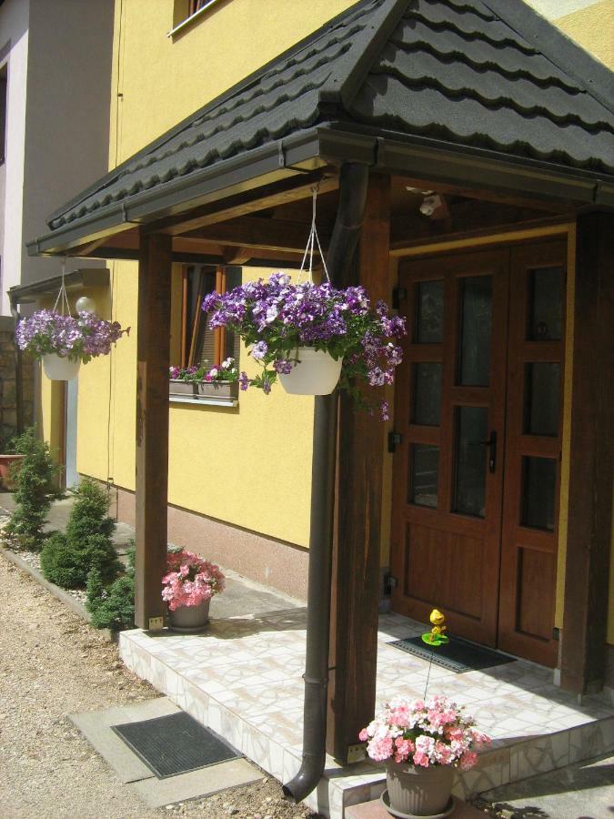 Guesthouse Mario Korenica Dış mekan fotoğraf